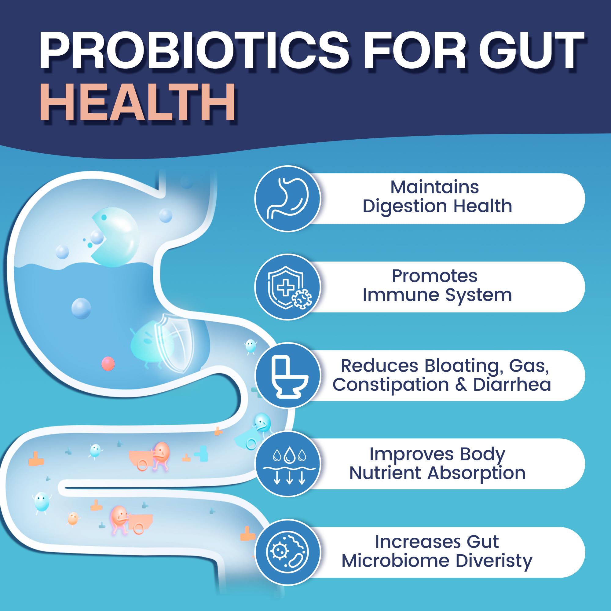 Nature Target Probiotics with spore strains image may support digestive balance.