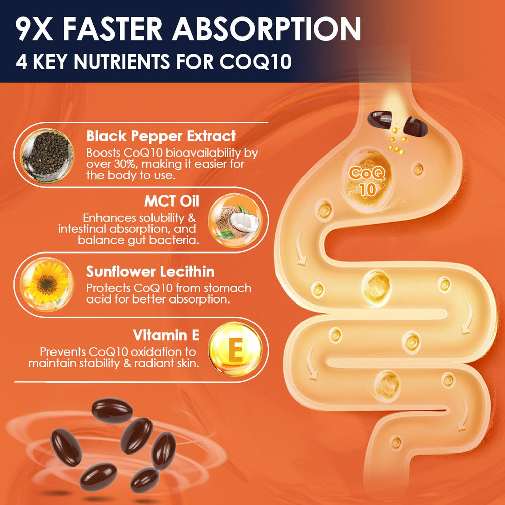 Nature Target Sunflower Lecithin softgels bottle stable absorption delivery