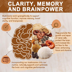 Nature Target Turkey Tail and Reishi mushrooms blend for immune balance