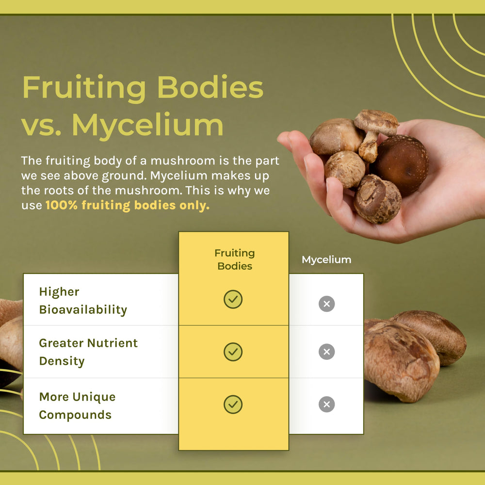 Organic fruiting bodies close-up used in Naturealm formula