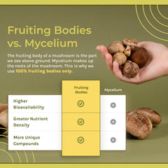 Organic fruiting bodies close-up used in Naturealm formula
