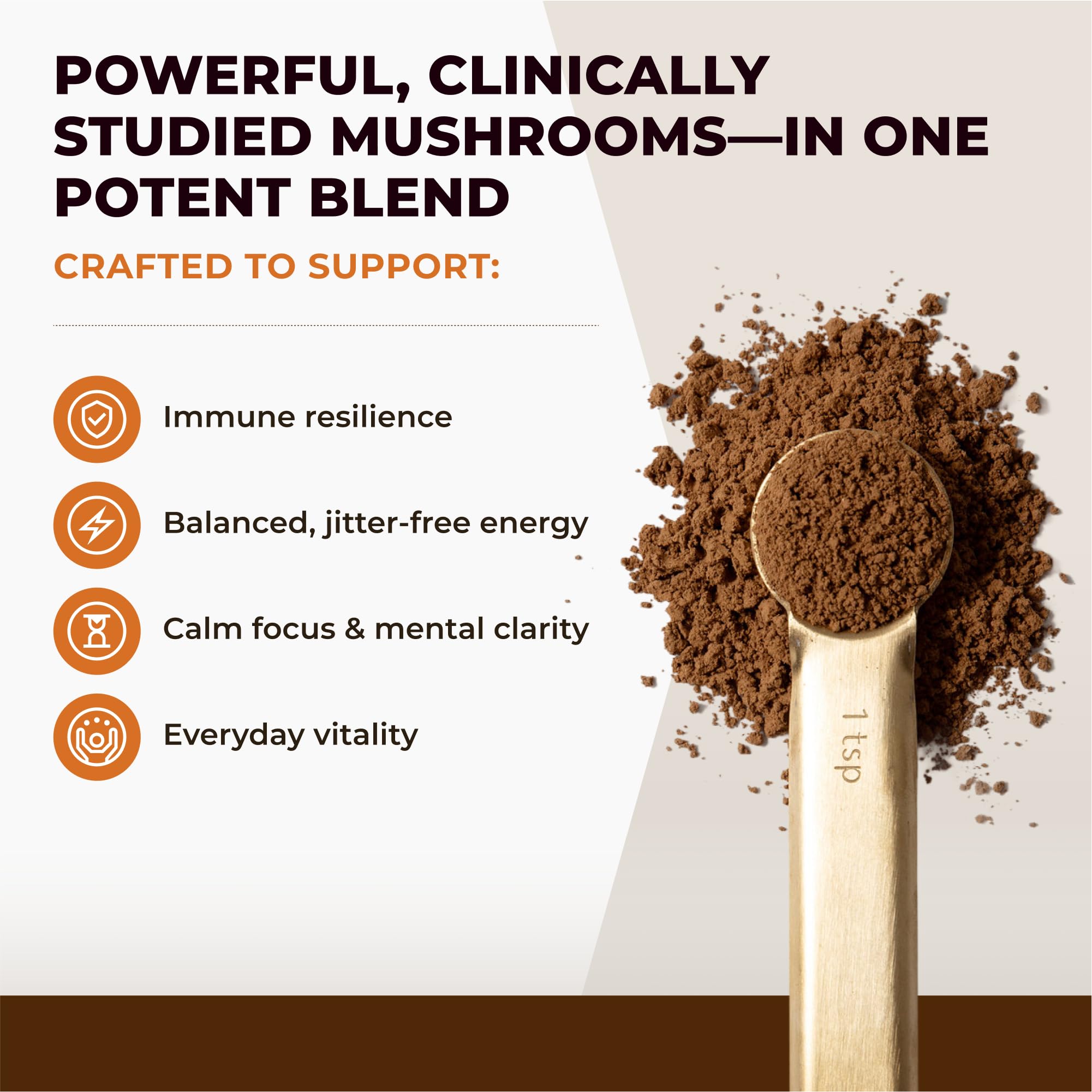 Scoop of Sacred 7 Mushroom Powder for easy daily serving