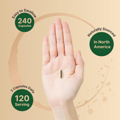 NatureBell bottle featuring 15-1 extract for potent herbal processing