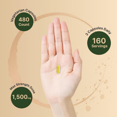 NatureBell Berberine Cinnamon Turmeric capsules highlight three-herb blend for versatile daily use