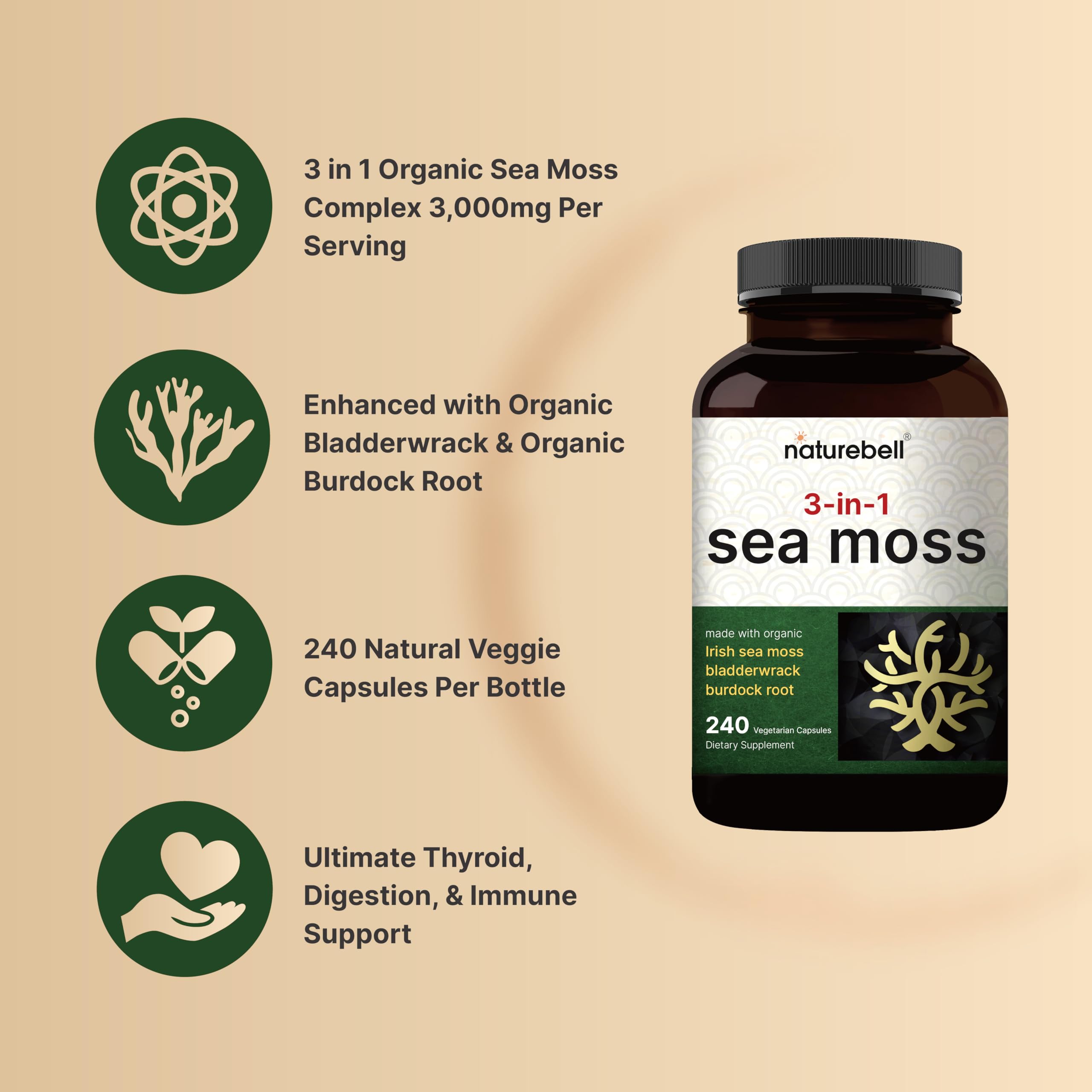 NatureBell burdock root 10to1 extract close-up suggesting traditional herbal support.