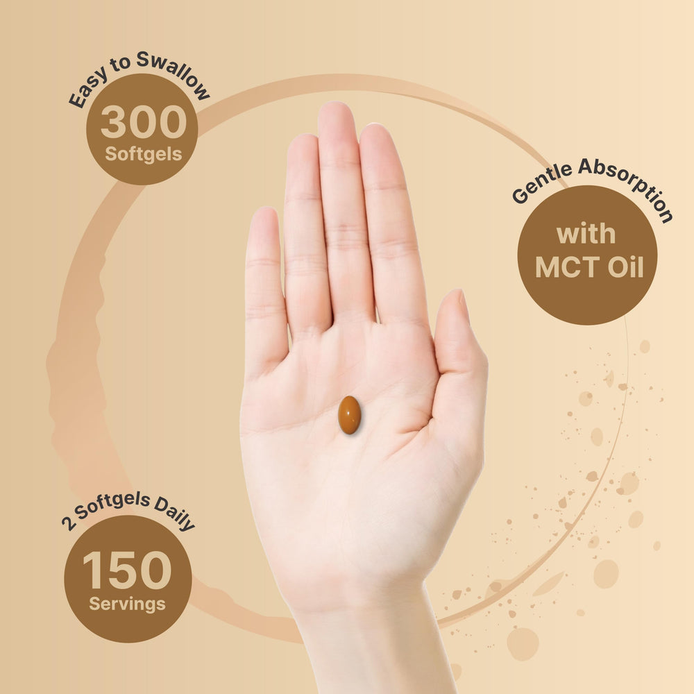 NatureBell Ginger Root with MCT softgels enhancing absorption during daily use