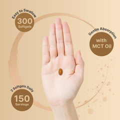 NatureBell Ginger Root with MCT softgels enhancing absorption during daily use