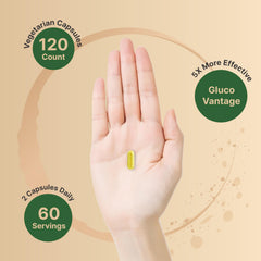 NatureBell GlucoVantage absorption graphic illustrating enhanced bioavailability potential