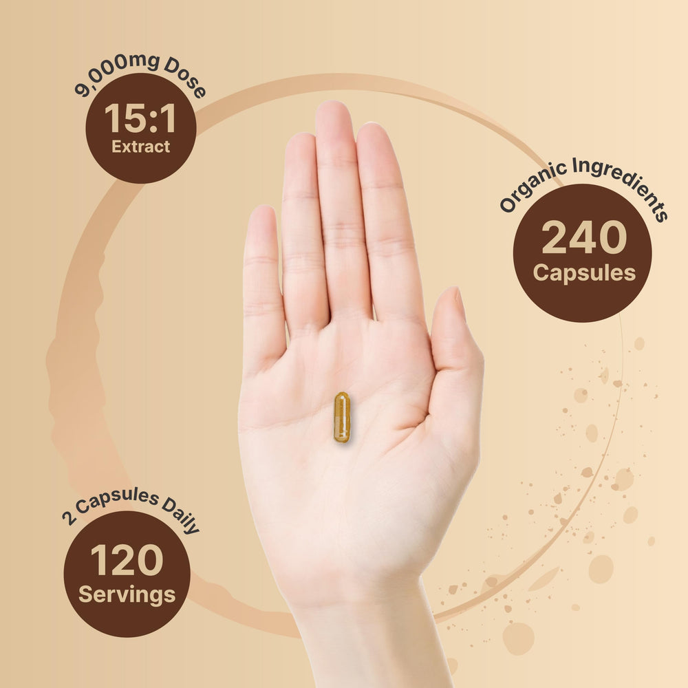 NatureBell Lions Mane bottle front with 240 capsules and 120-day supply.