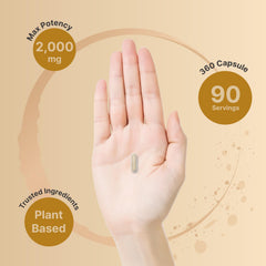 Ingredients panel displays psyllium husk, chicory inulin, and chia seed powder for a fiber blend.