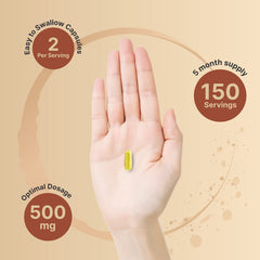 NatureBell quercetin packaging 300 capsules for easy daily use.