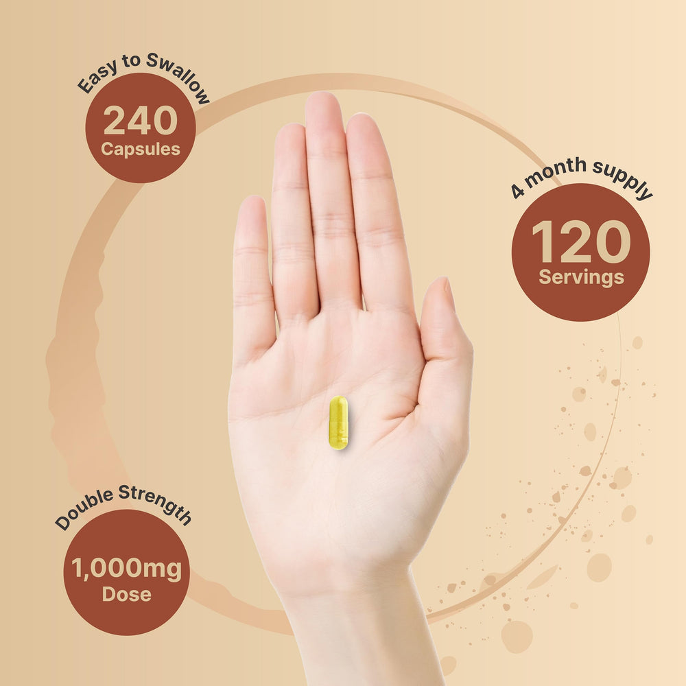 NatureBell Quercetin1000 third-party test seal on packaging