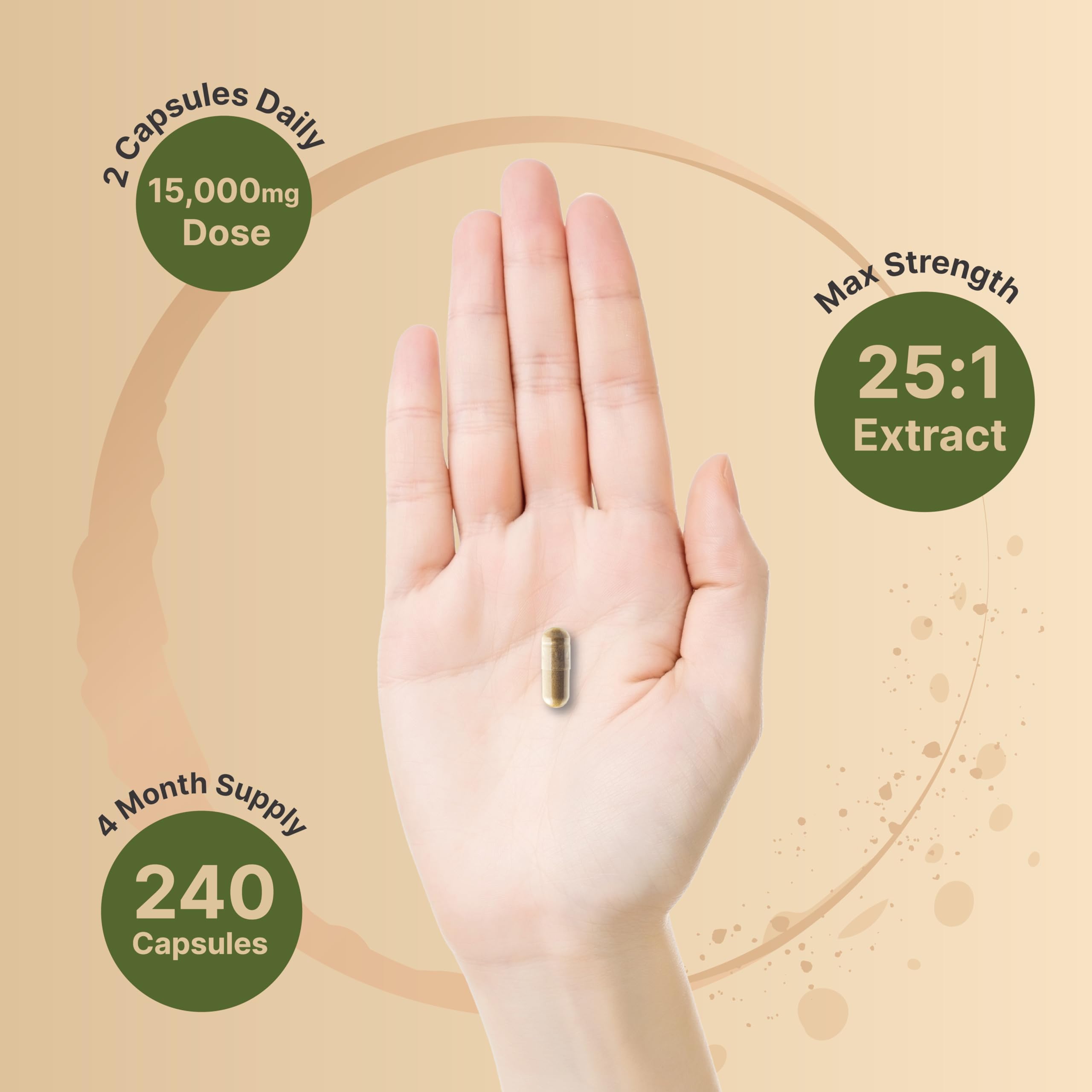 NatureBell Turkey Tail capsules packaging front emphasizes daily routine convenience