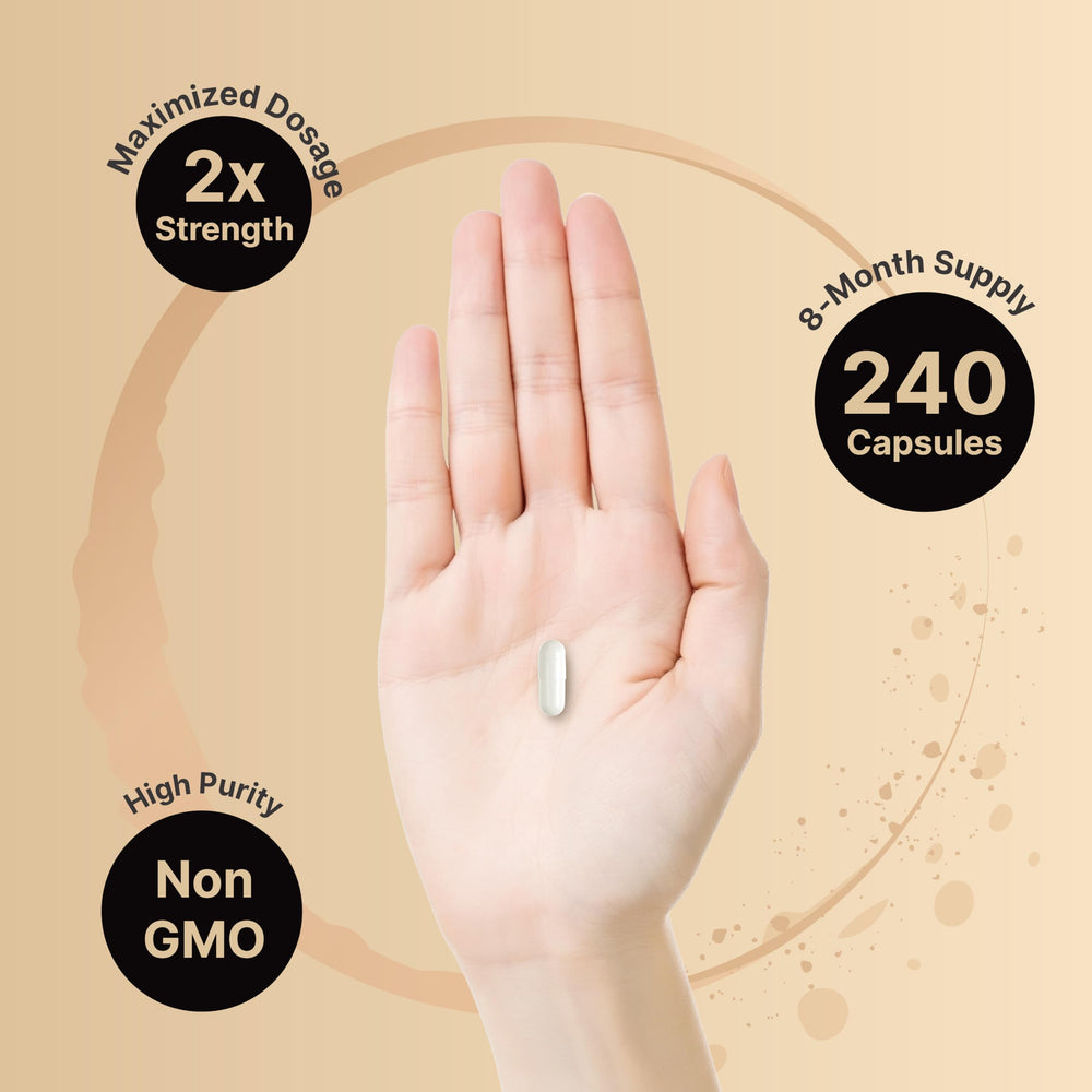 NatureBell Zinc Picolinate 100mg bottle packaging displayed for easy daily use