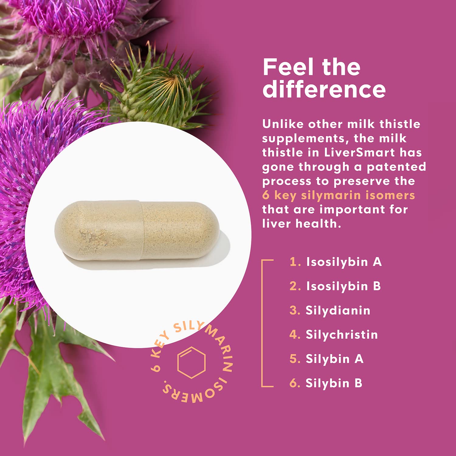 Naturenetics Dandelion root image for gentle digestive comfort