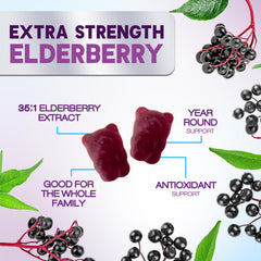 Nature's Nutrition Elderberry Gummies family-serving label demonstrates vegan, gluten-free goodness.