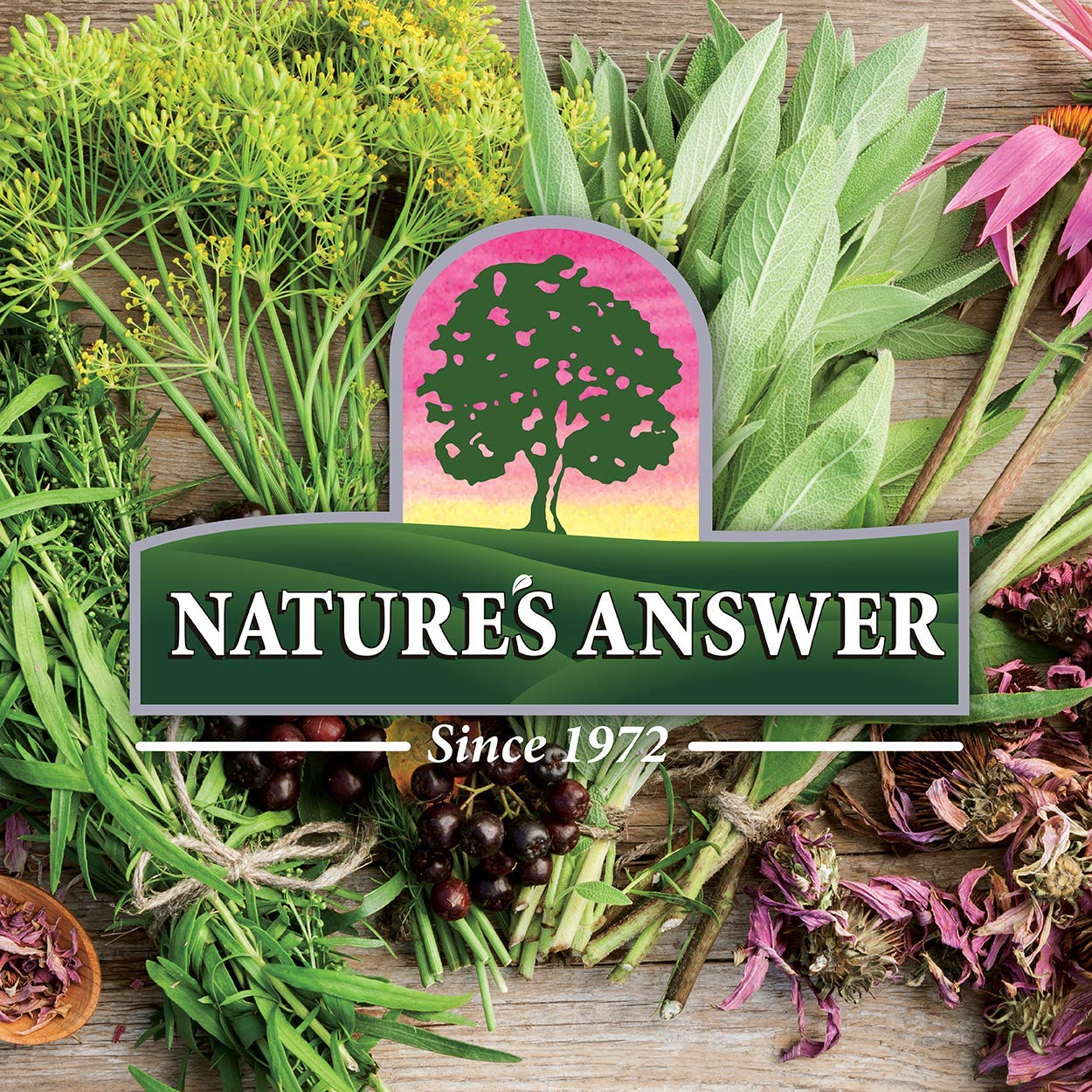 Nature's Answer bottle on wooden surface with soft lighting for product shot