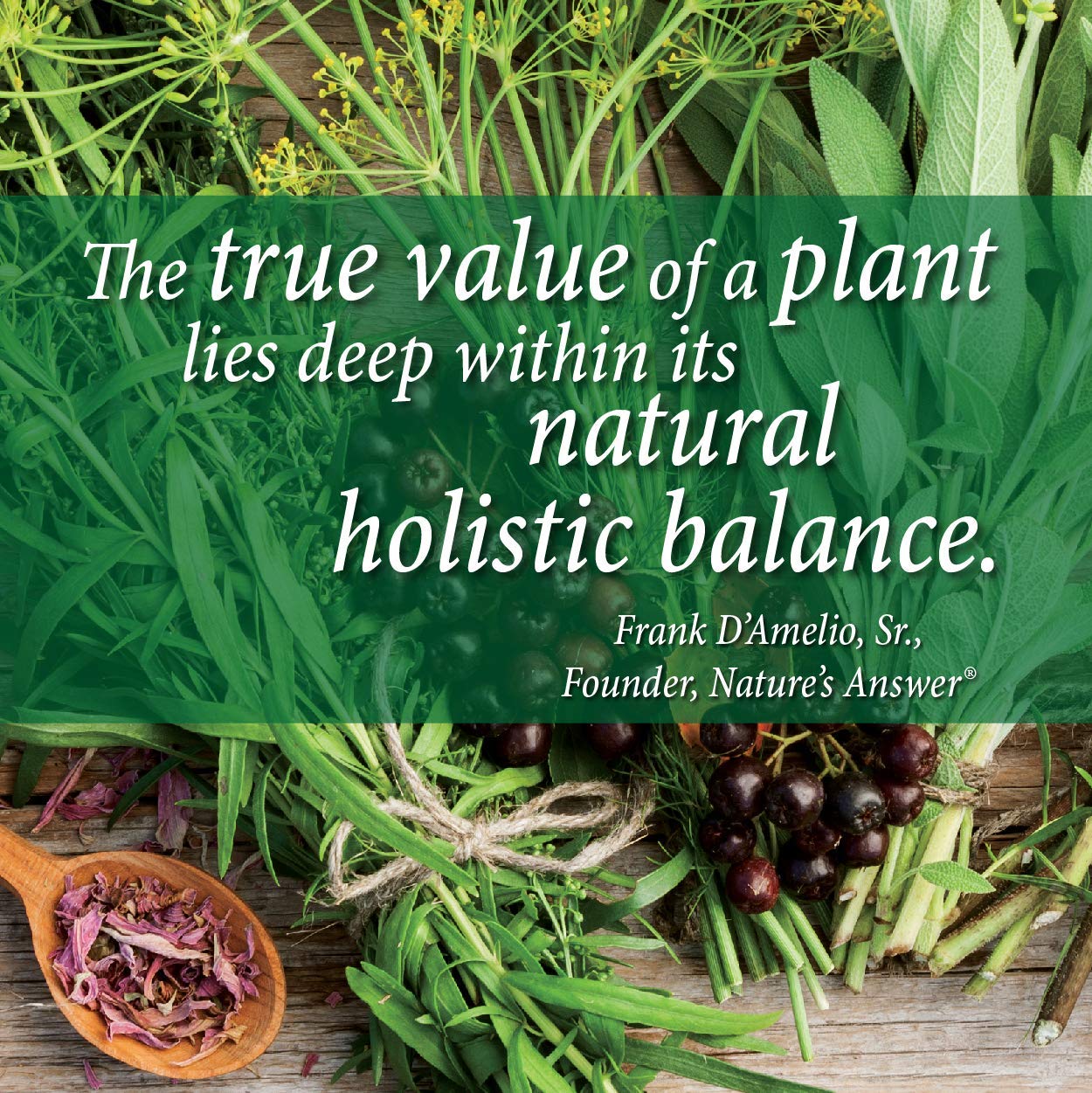 Nature's Answer Holistically Balanced formula shown on label