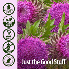 Nature's Answer Milk Thistle bottle made in the USA for quality.