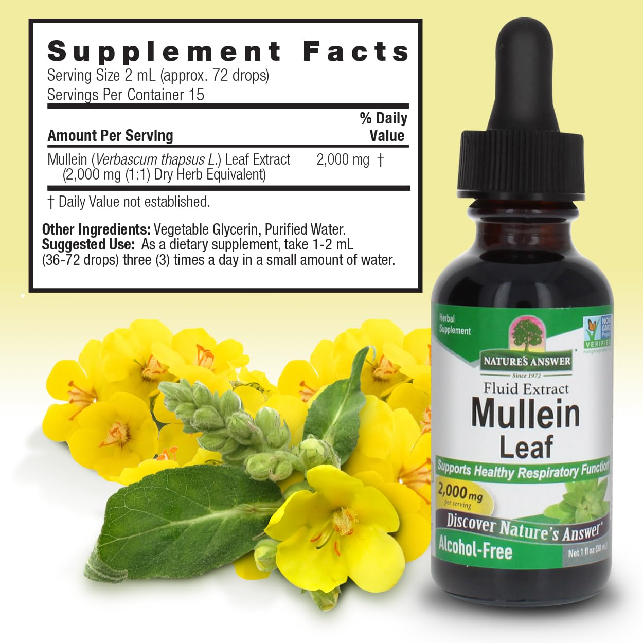 Nature's Answer Mullein Leaf Extract label emphasizes USA-made, non-GMO quality.