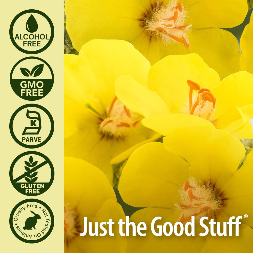 Nature's Answer Mullein Leaf Extract alcohol-free bottle suitable for all ages.