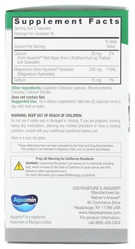 Nature's Answer vegetarian capsules 90 count.