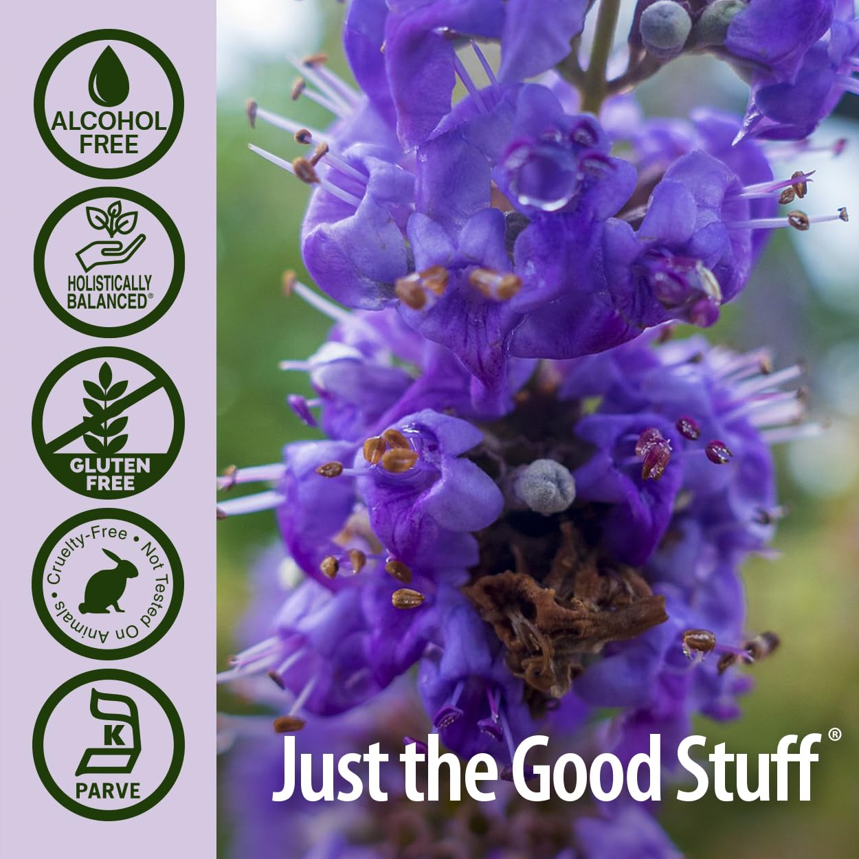 Bottle cap off scene ready for daily ritual with Vitex Berry.