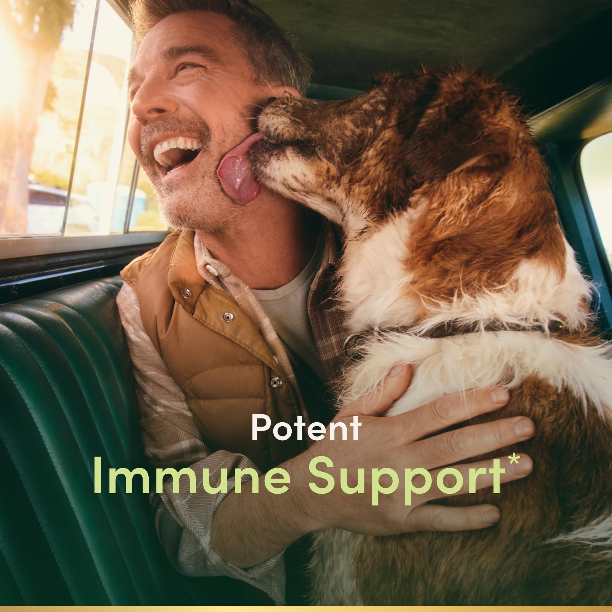 Quercetin capsules for convenient daily supplementation.