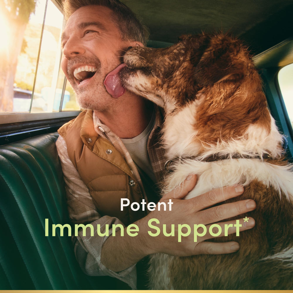 Quercetin capsules for convenient daily supplementation.
