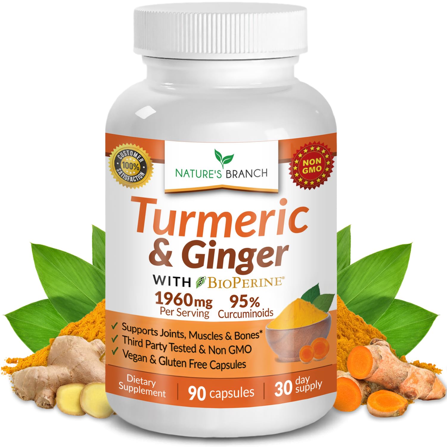 Nature's Branch Turmeric Ginger supplement bottle showing joint support packaging