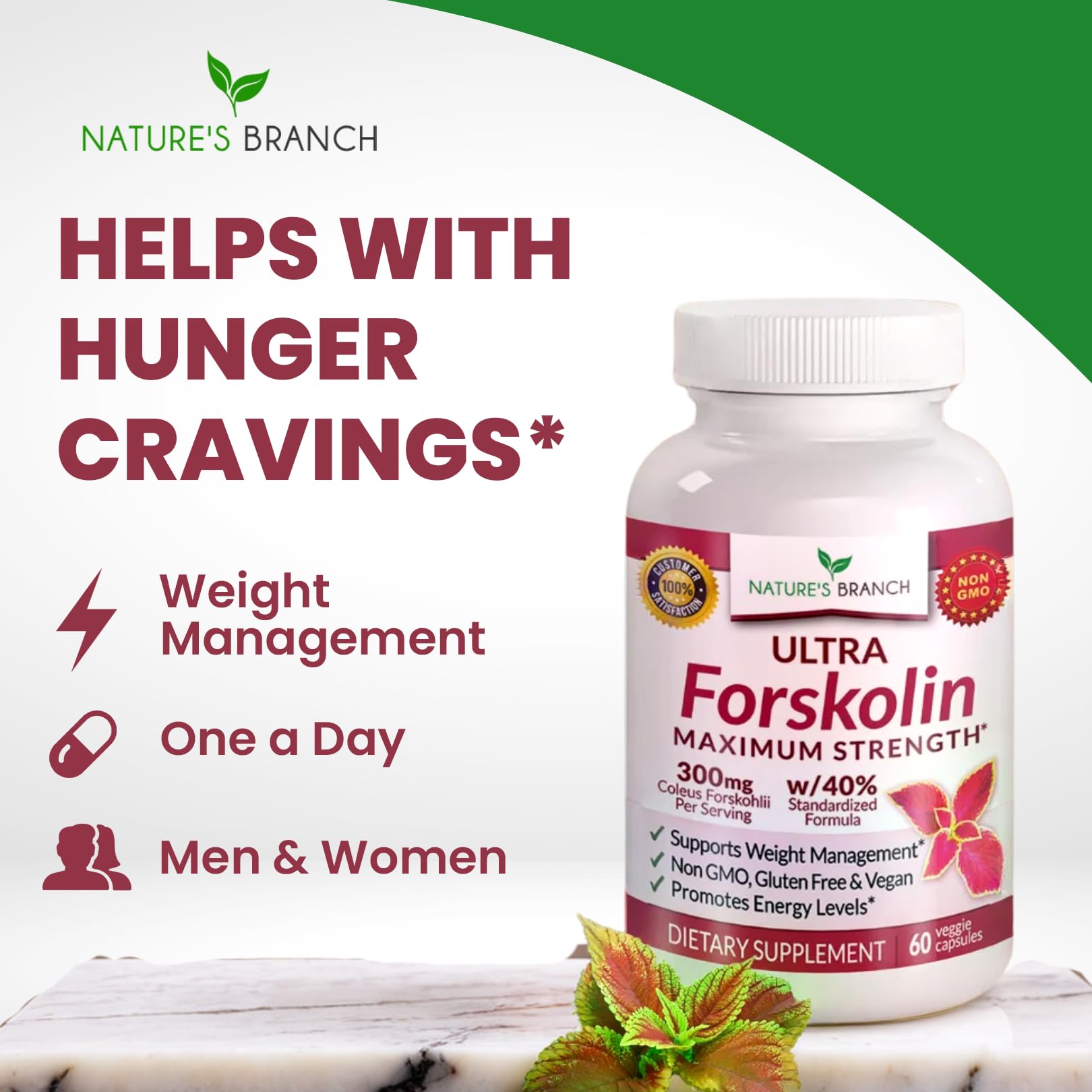 Nature's Branch Ultra Pure Forskolin packaging box communicates vegan and non-GMO quality