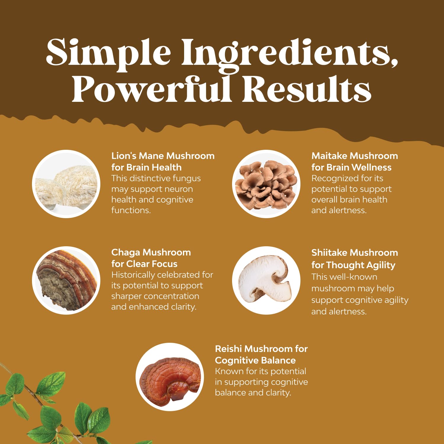 Natures Craft 5-in-1 formulation image suggests a comprehensive brain health boost