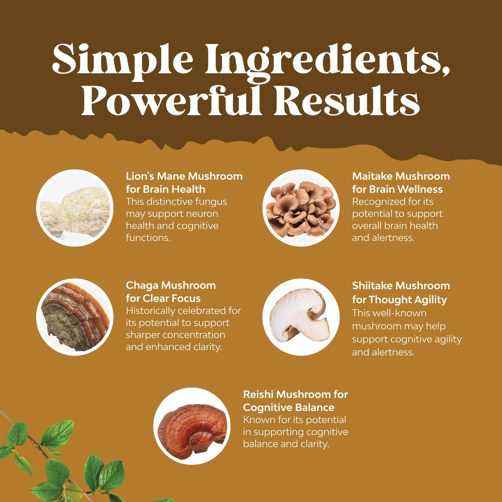 Natures Craft 5-in-1 formulation image suggests a comprehensive brain health boost