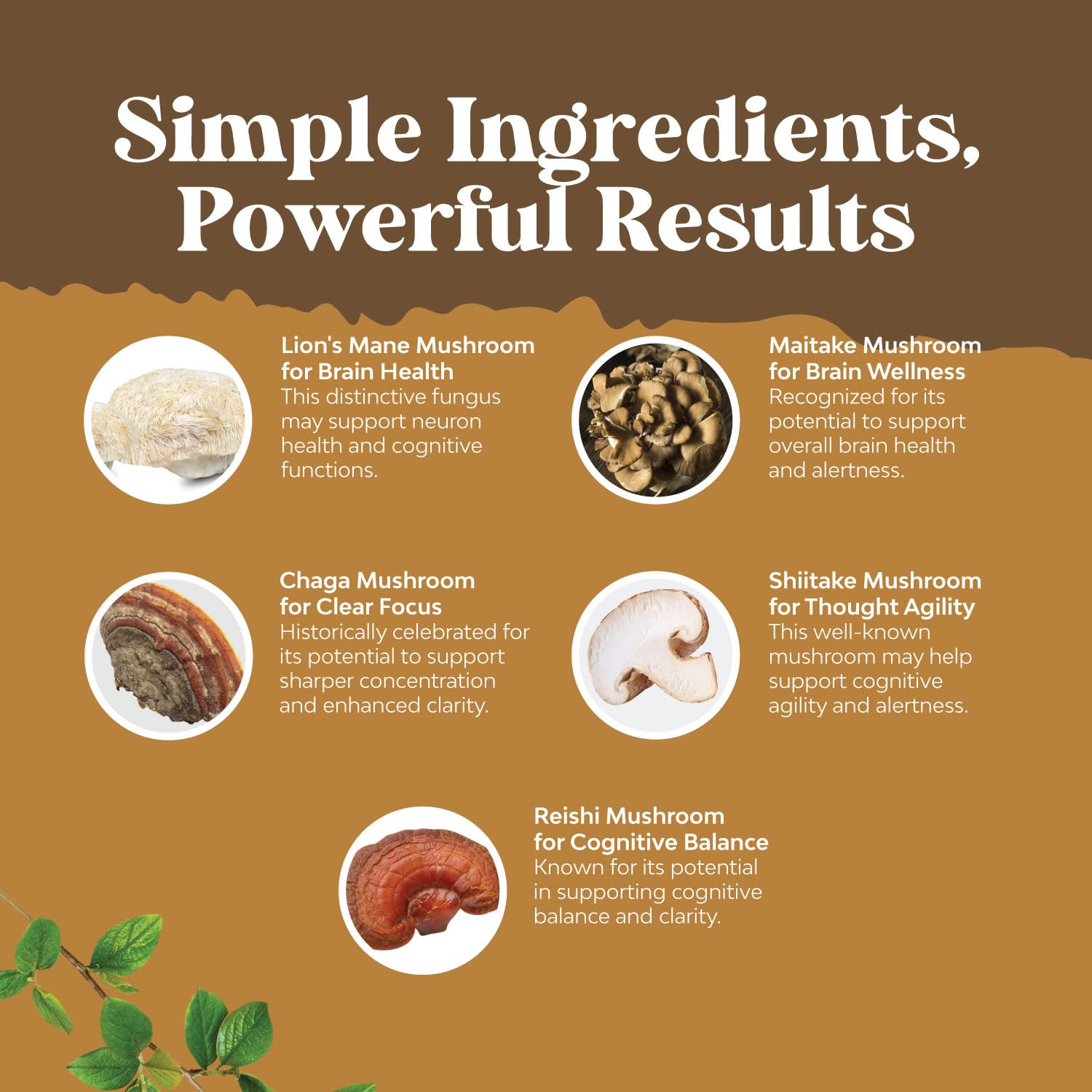 Natures Craft 5-in-1 formula label showcases synergistic mushroom power for focus and memory.