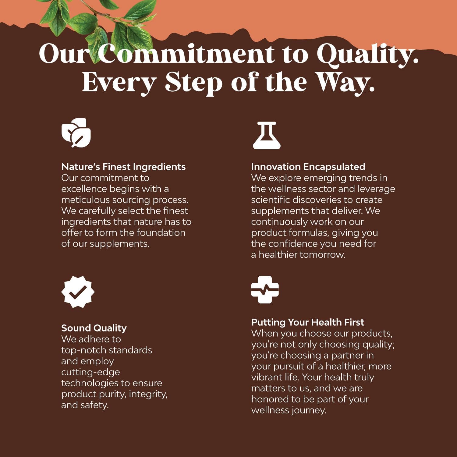 Nature's Craft Advanced Mushroom Complex packaging box highlights premium quality