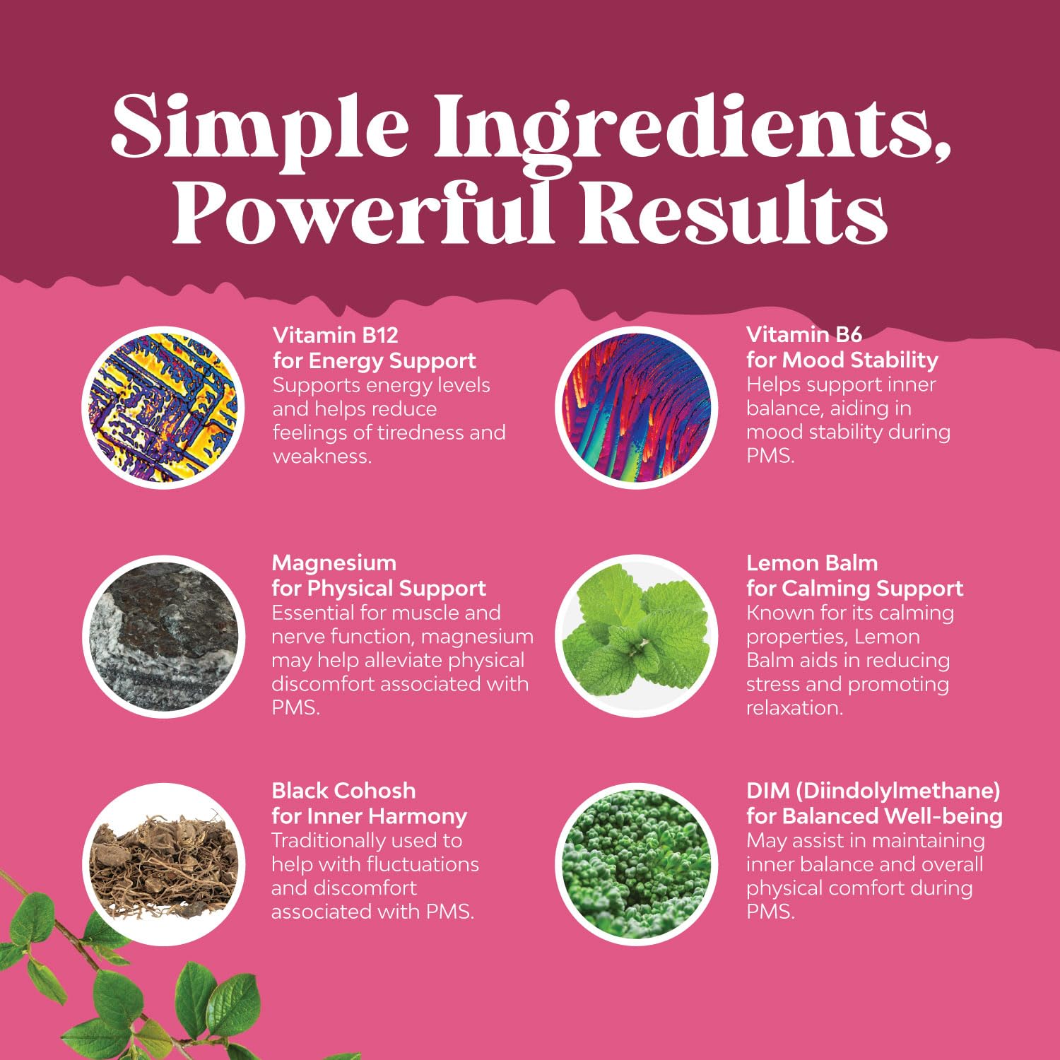 Natures Craft ashwagandha root capsule highlights adaptogenic stress support