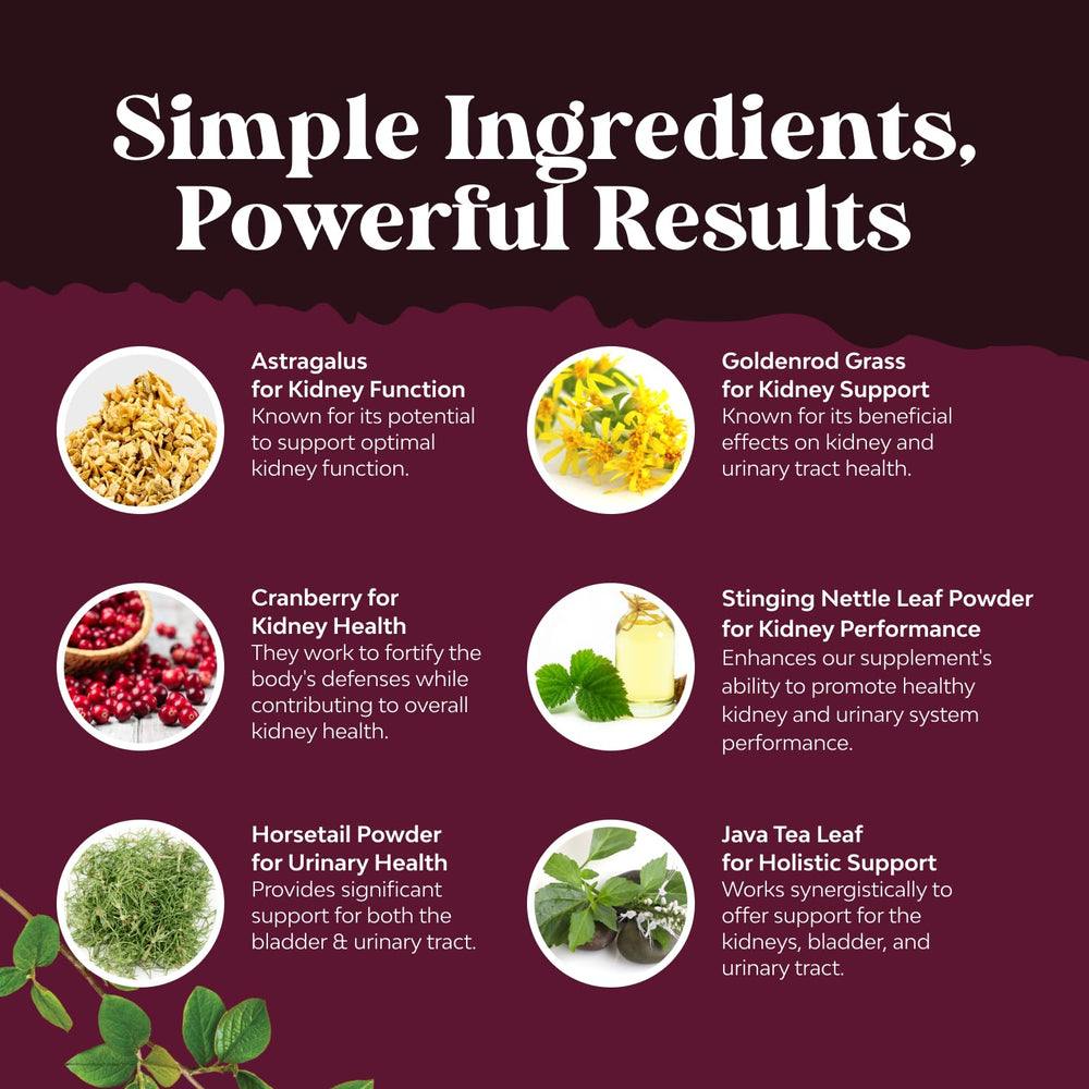 Natures Craft astragalus capsules featuring herbal kidney support.