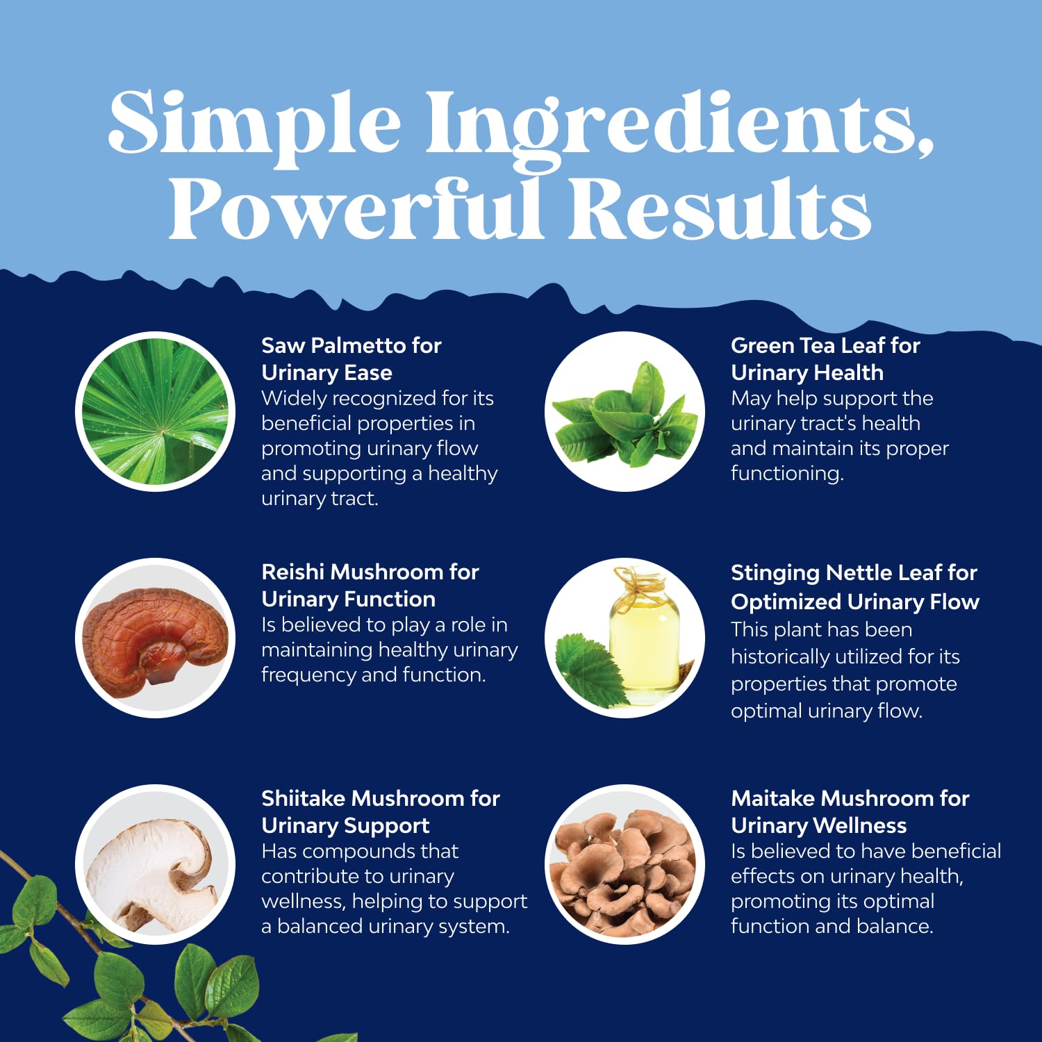 Natures Craft Beta-sitosterol blend for prostate support.