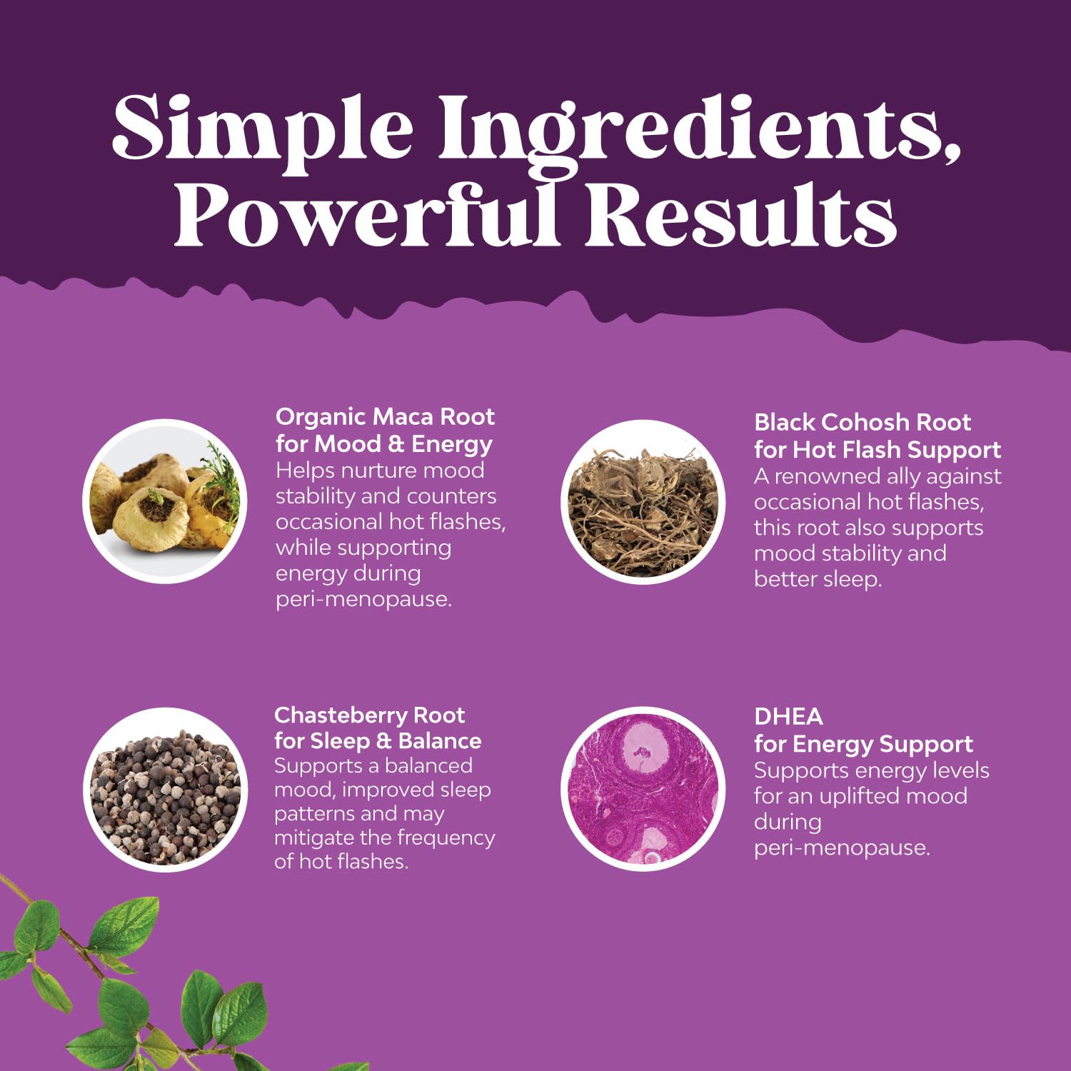 Nature's Craft black cohosh capsules suggest hot flash and night sweat relief support.