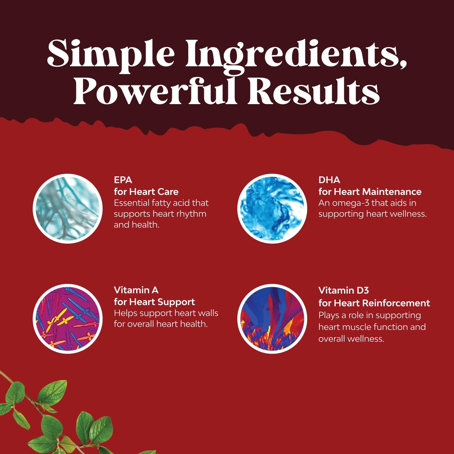 Natures Craft burpless softgels image emphasizing gentle digestion and daily use.