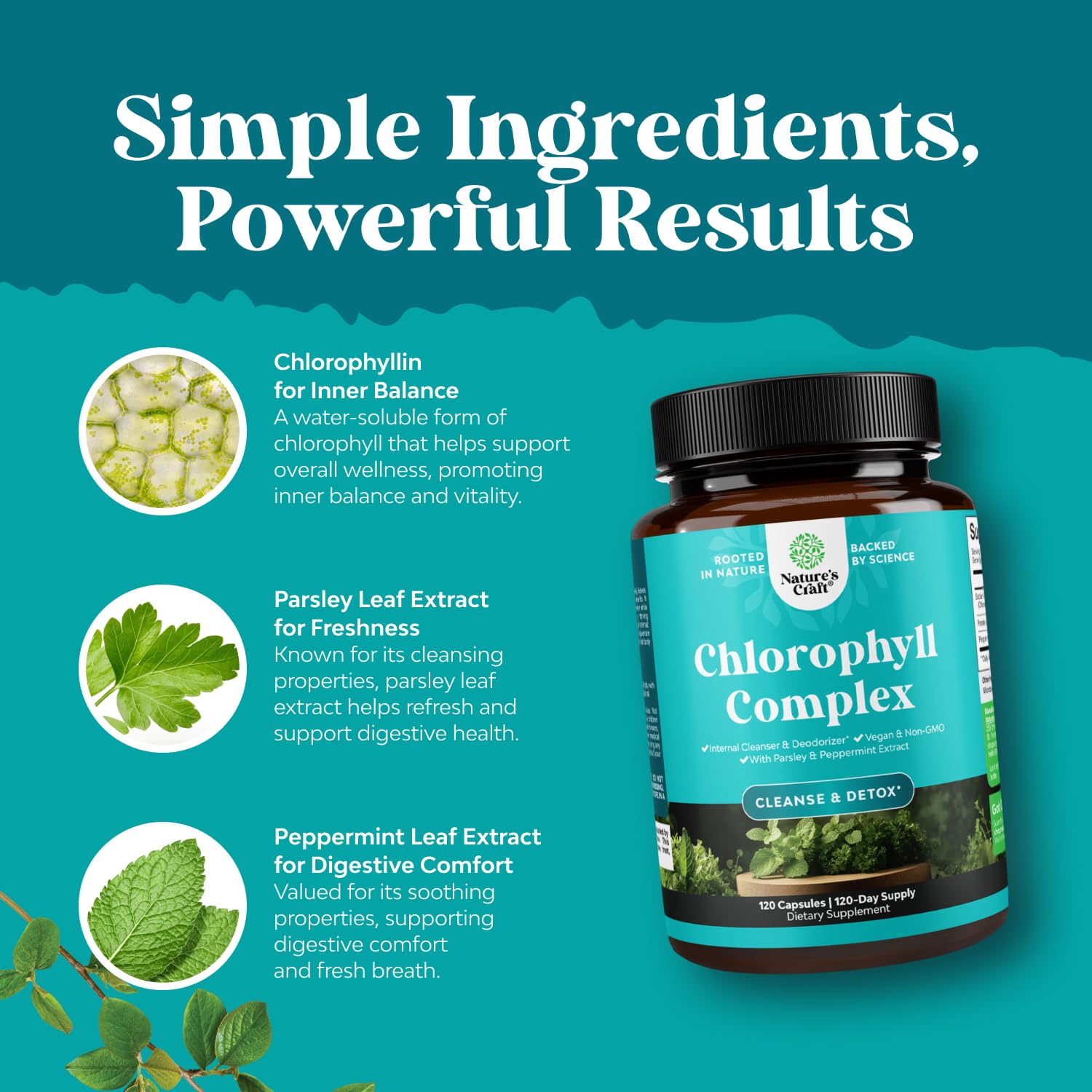 Natures Craft Chlorophyll Capsules closeup of capsules, emphasizing gentle dosing to minimize upset stomachs.