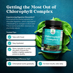 Chlorophyll capsules in hand, convenient daily internal deodorant.