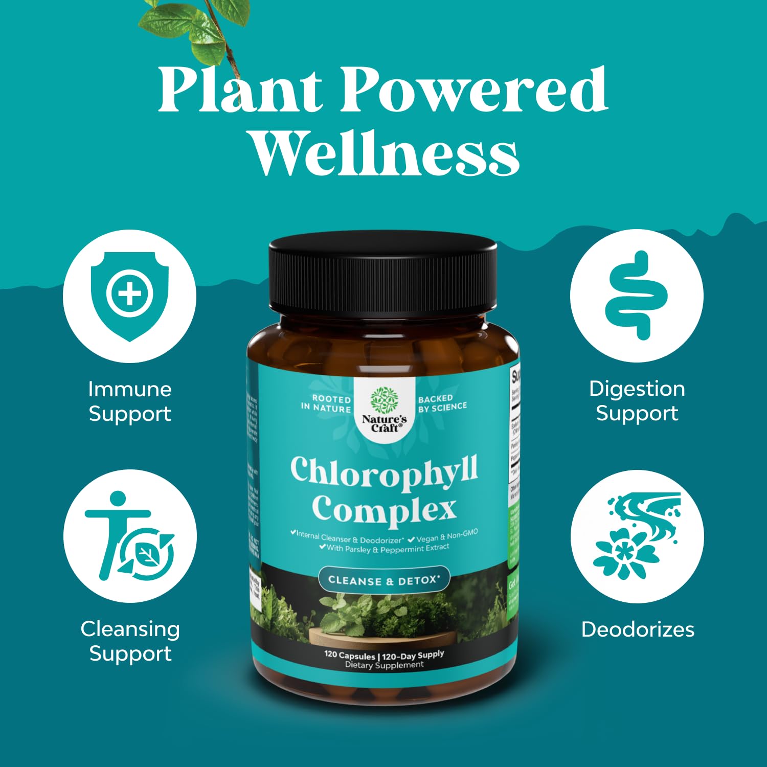 Natures Craft Chlorophyll Capsules mint-parsley complex visual, highlighting multi-faceted cleansing support.