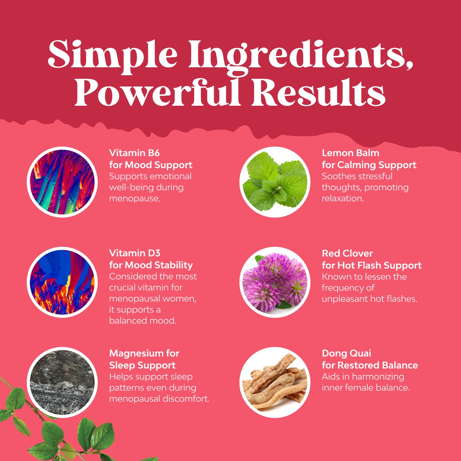 Natures Craft Complete Menopause black cohosh complex capsules.
