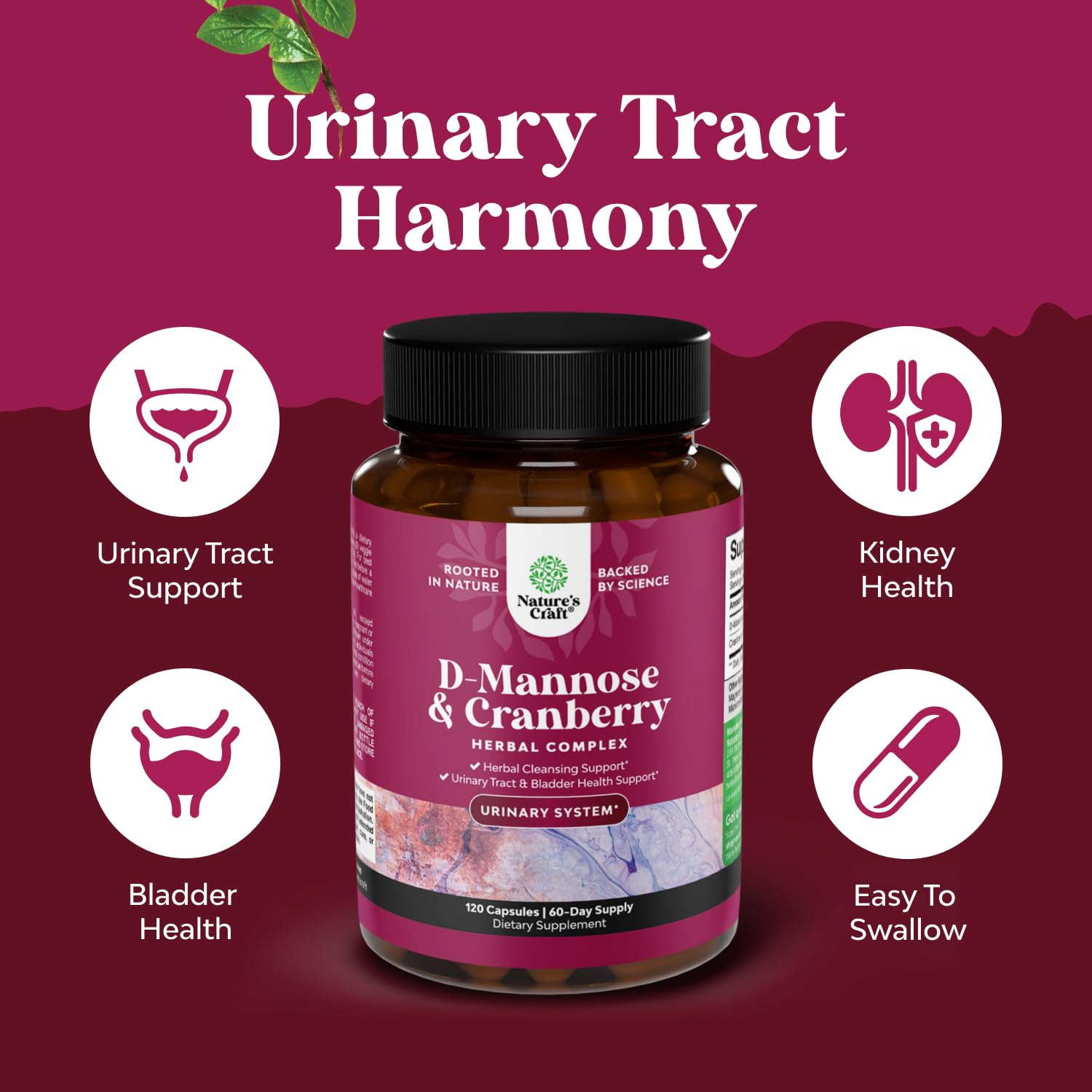 Natures Craft Cranberry extract urinary support bottle on exterior.