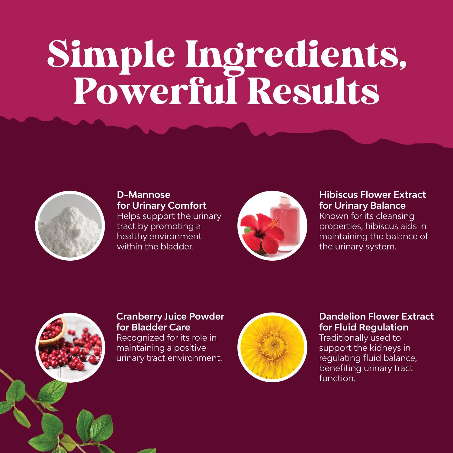 Natures Craft label graphic highlights cranberry and dandelion for kidney and immunity support.