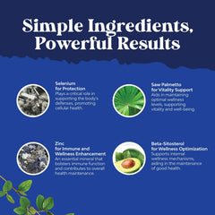 Illustration of saw palmetto berries used in the formula by Natures Craft