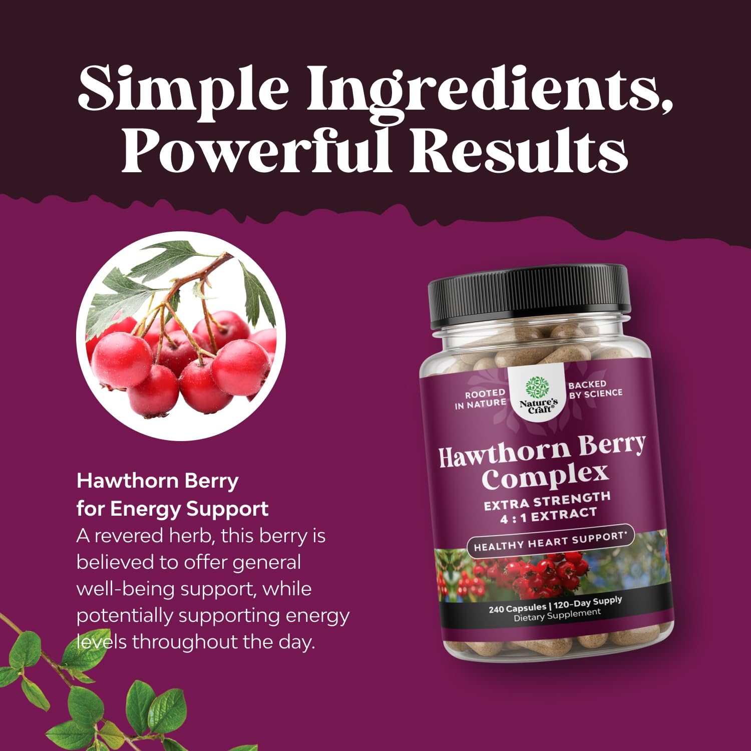 Natures Craft hawthorn 4:1 extract panel emphasizes potency