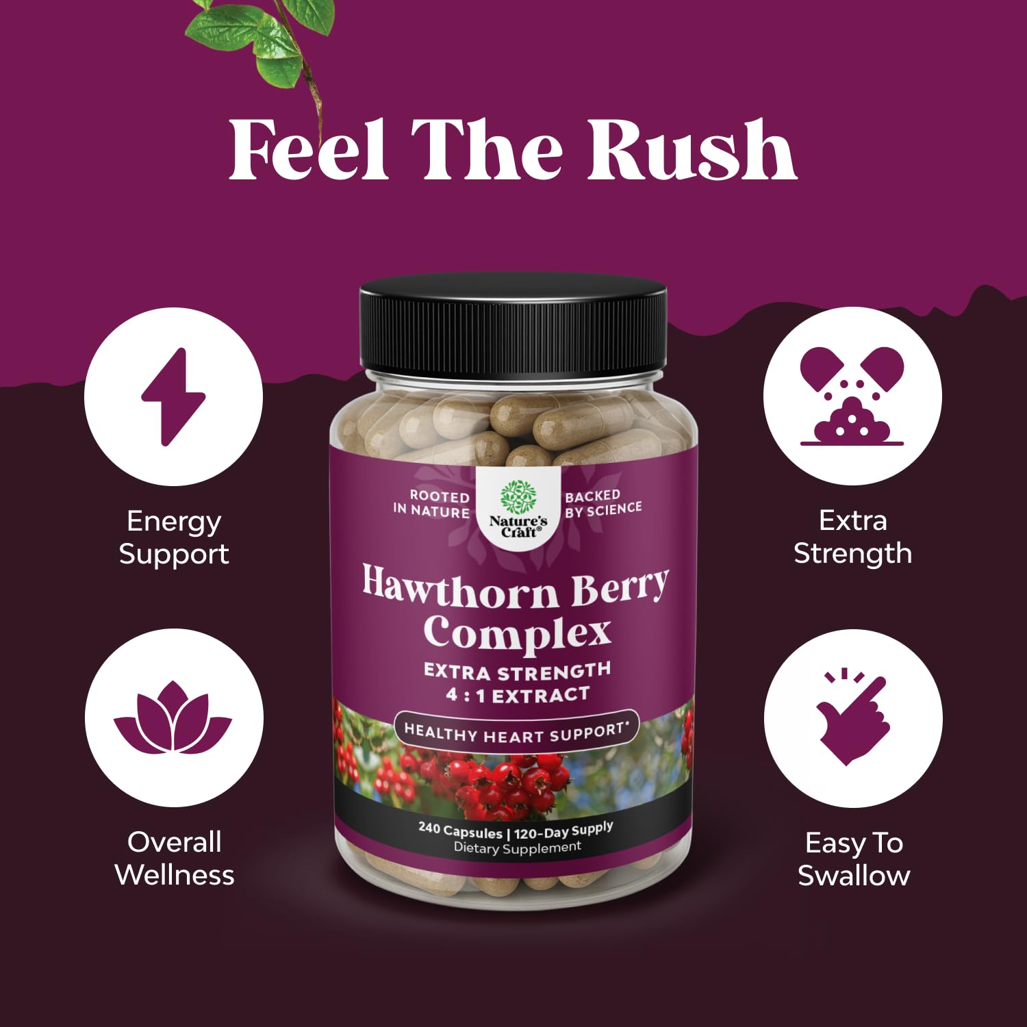 Natures Craft hawthorn leaf and flower extract detail