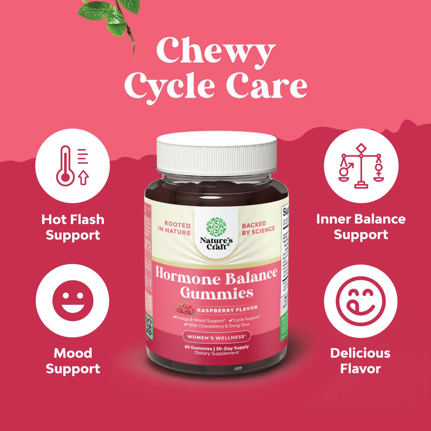 Natures Craft Hormone Balance packaging box emphasizes vitamin B6 and dong quai benefits.